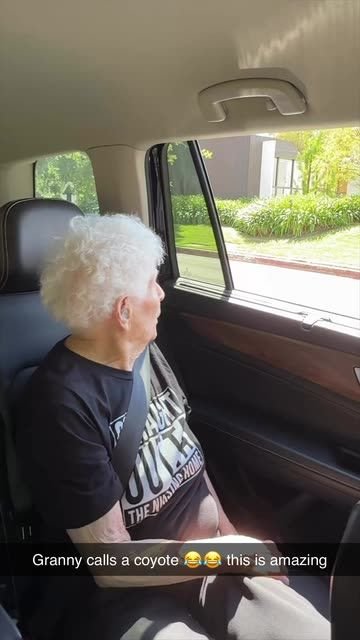 Senior Woman Reacts to Coyote Sighting During Car Ride